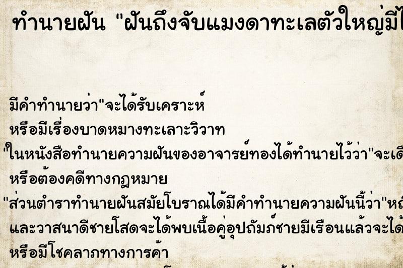 ทำนายฝันทำนายฝันฝันถึงจับแมงดาทะเลตัวใหญ่มีไข่เต็มท้อง